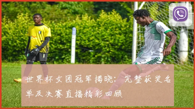 世界杯女团冠军揭晓：完整获奖名单及决赛直播精彩回顾
